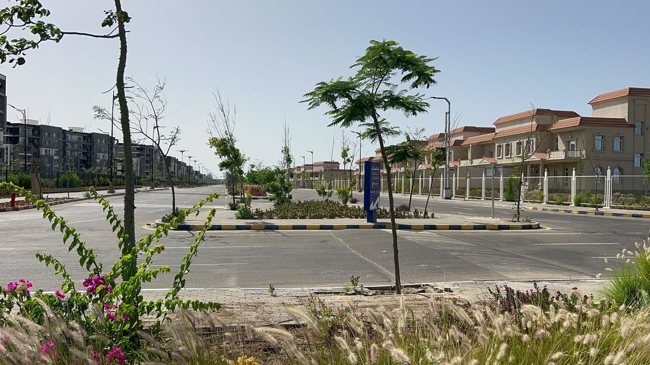 أحياء المنصورة الجديدة أحياء المنصورة الجديدة