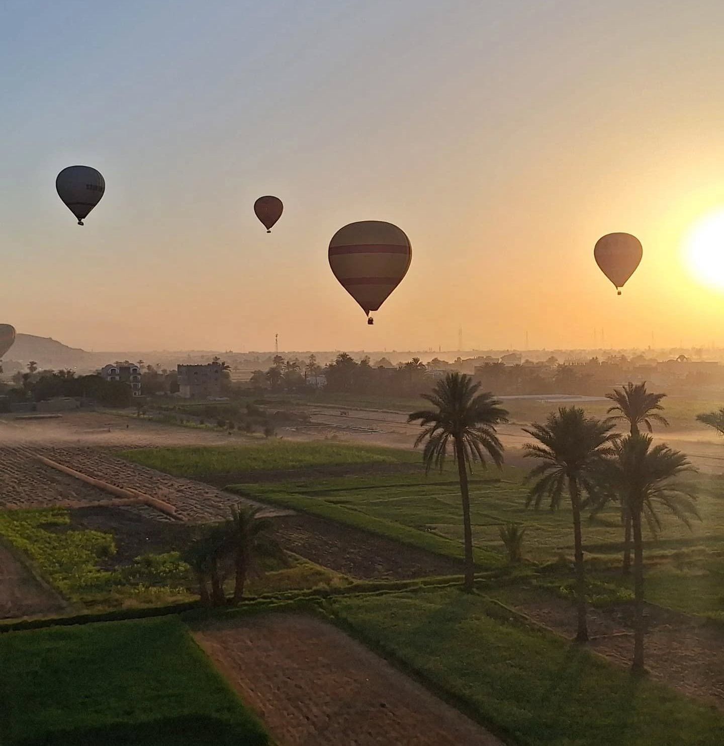 تحليق رحلات البالون الطائر مع شروق الشمس يومياً تحليق رحلات البالون الطائر مع شروق الشمس يومياً