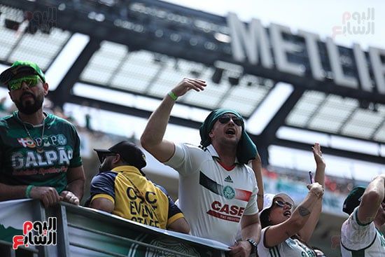جماهير بالميراس البرازيلي جماهير بالميراس البرازيلي