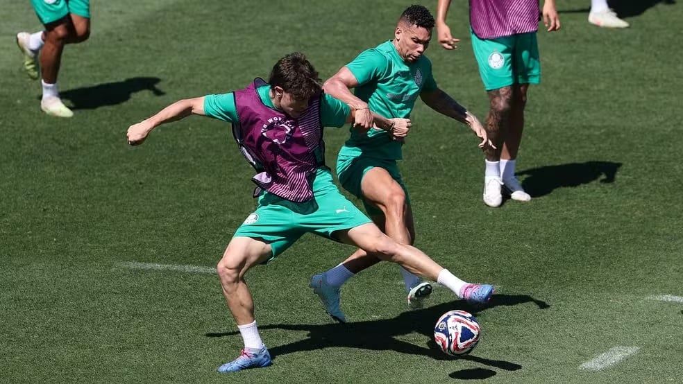 تدريبات بالميراس (3) تدريبات بالميراس (3)