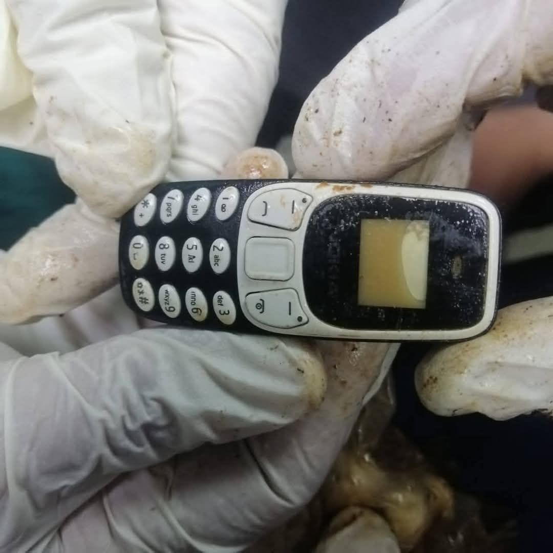 الهاتف المحمول الهاتف المحمول