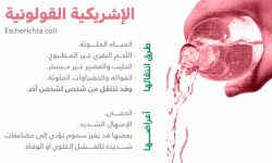 البكتيريا الإشريكية القولونية