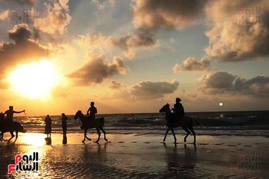 شاطئ العريش (4) شاطئ العريش (4)