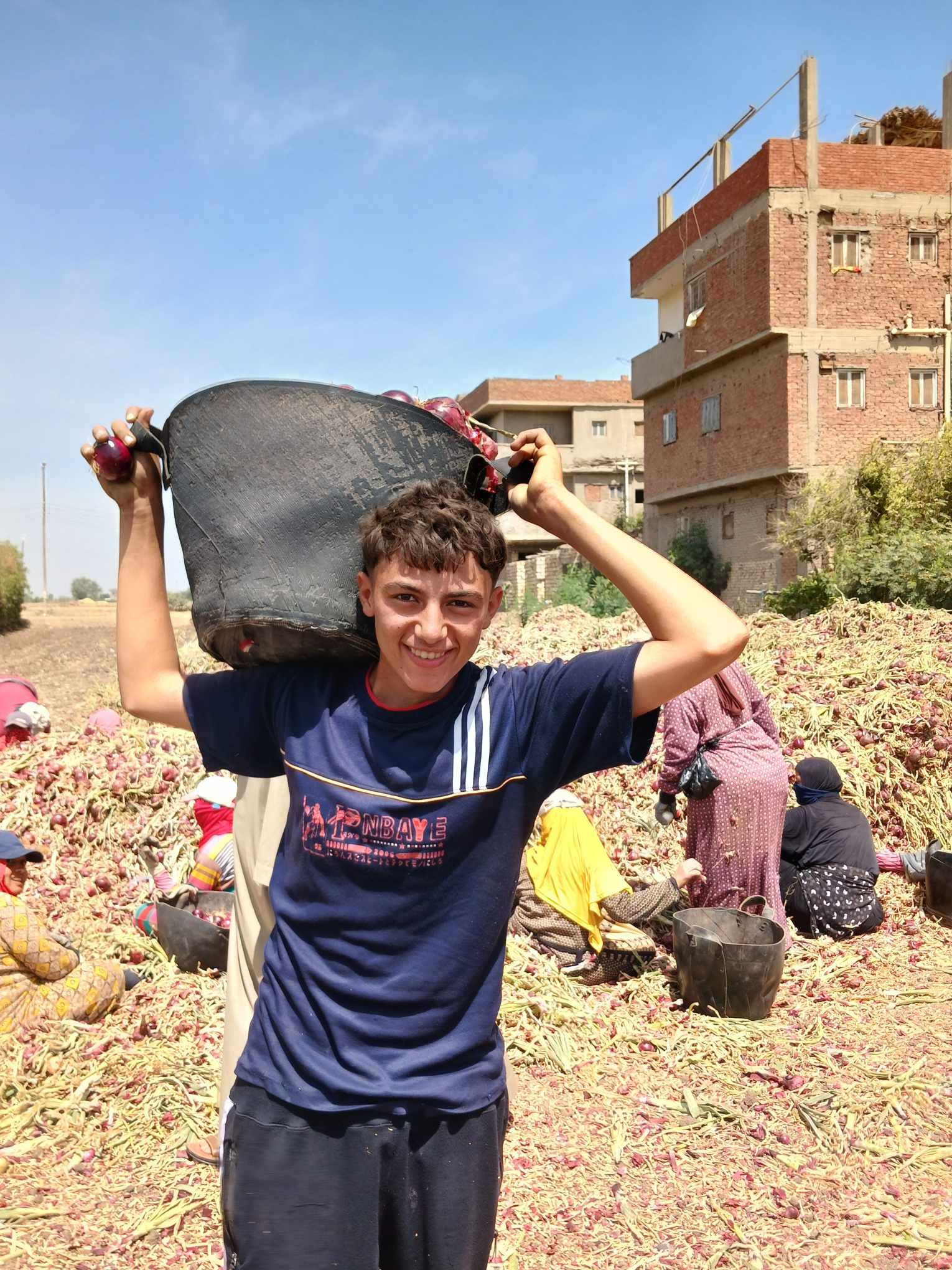 اجواء الحصاد اجواء الحصاد