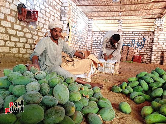 فرز الأنواع فرز الأنواع