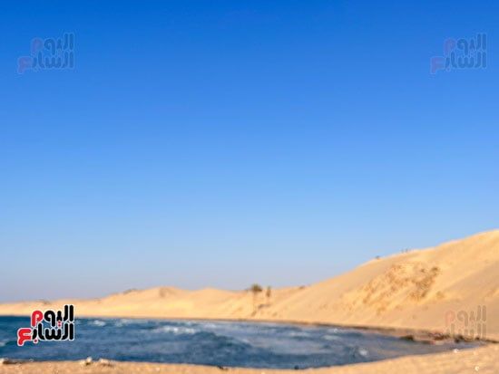 حوض-شاطئ-الريسة-بالعريش حوض-شاطئ-الريسة-بالعريش
