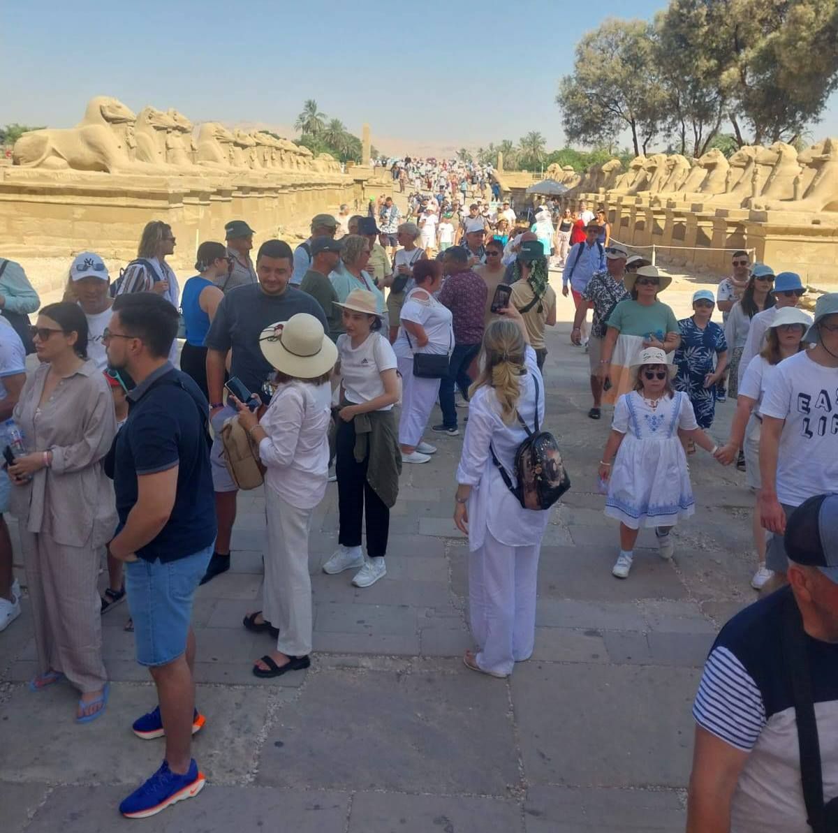 الإقبال السياحى الكبير فى معابد الكرنك بالأقصر الإقبال السياحى الكبير فى معابد الكرنك بالأقصر