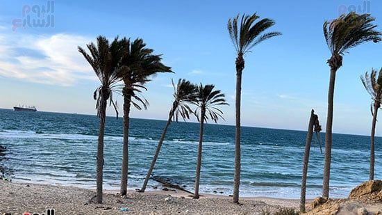 جمال-شاطئ-الريسة جمال-شاطئ-الريسة