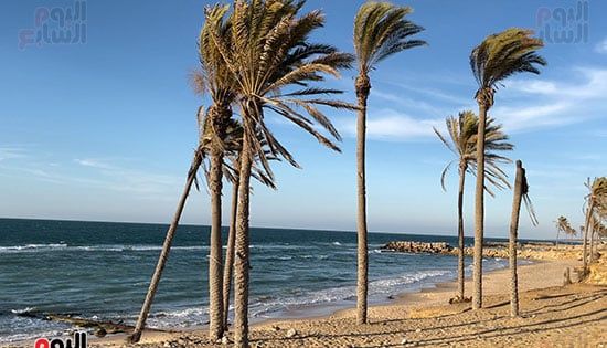 شاطئ-الريسة-بالعريش شاطئ-الريسة-بالعريش