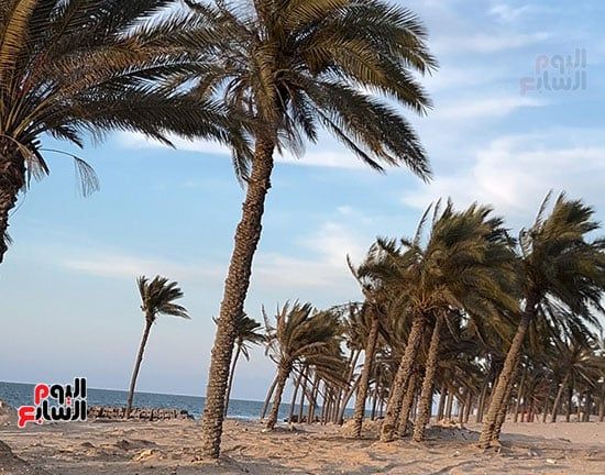 شاطئ-الريسة شاطئ-الريسة