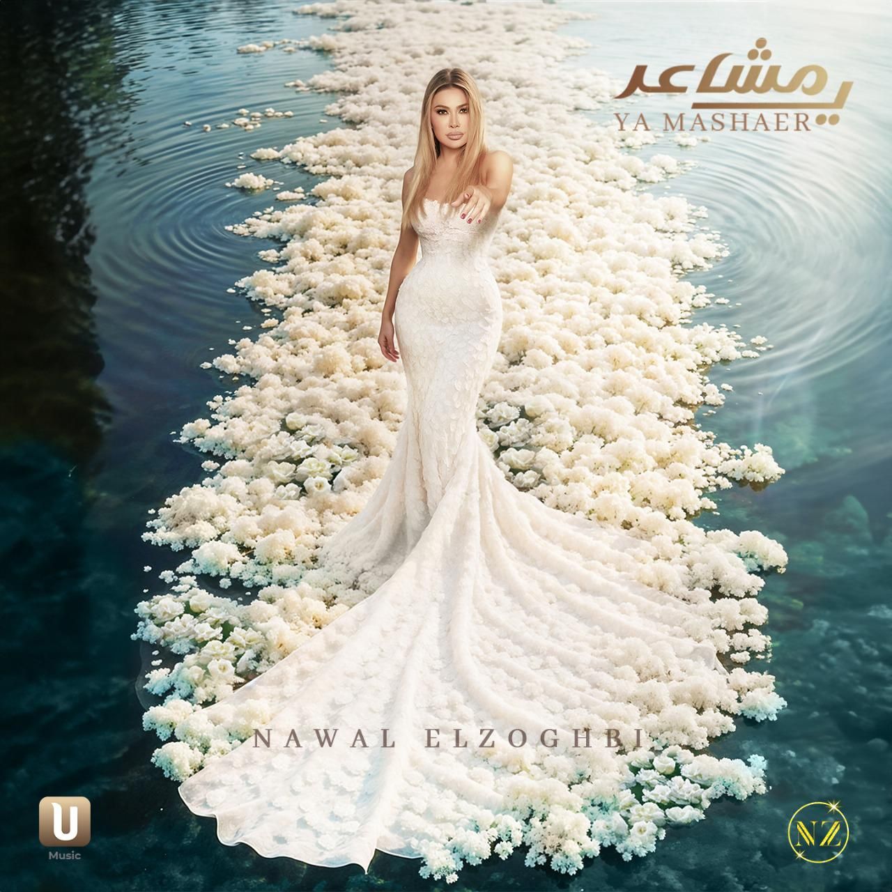 نوال الزغبي تستعد لمفاجآت جديدة للمصريين (2)
