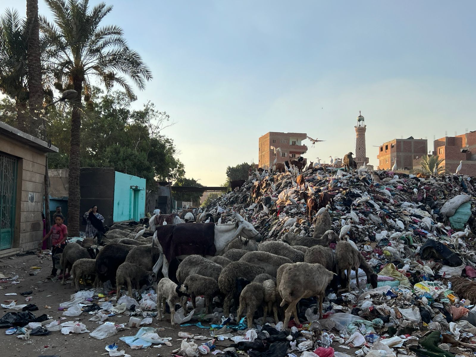 مقابر مدينة الحوامدية مقابر مدينة الحوامدية
