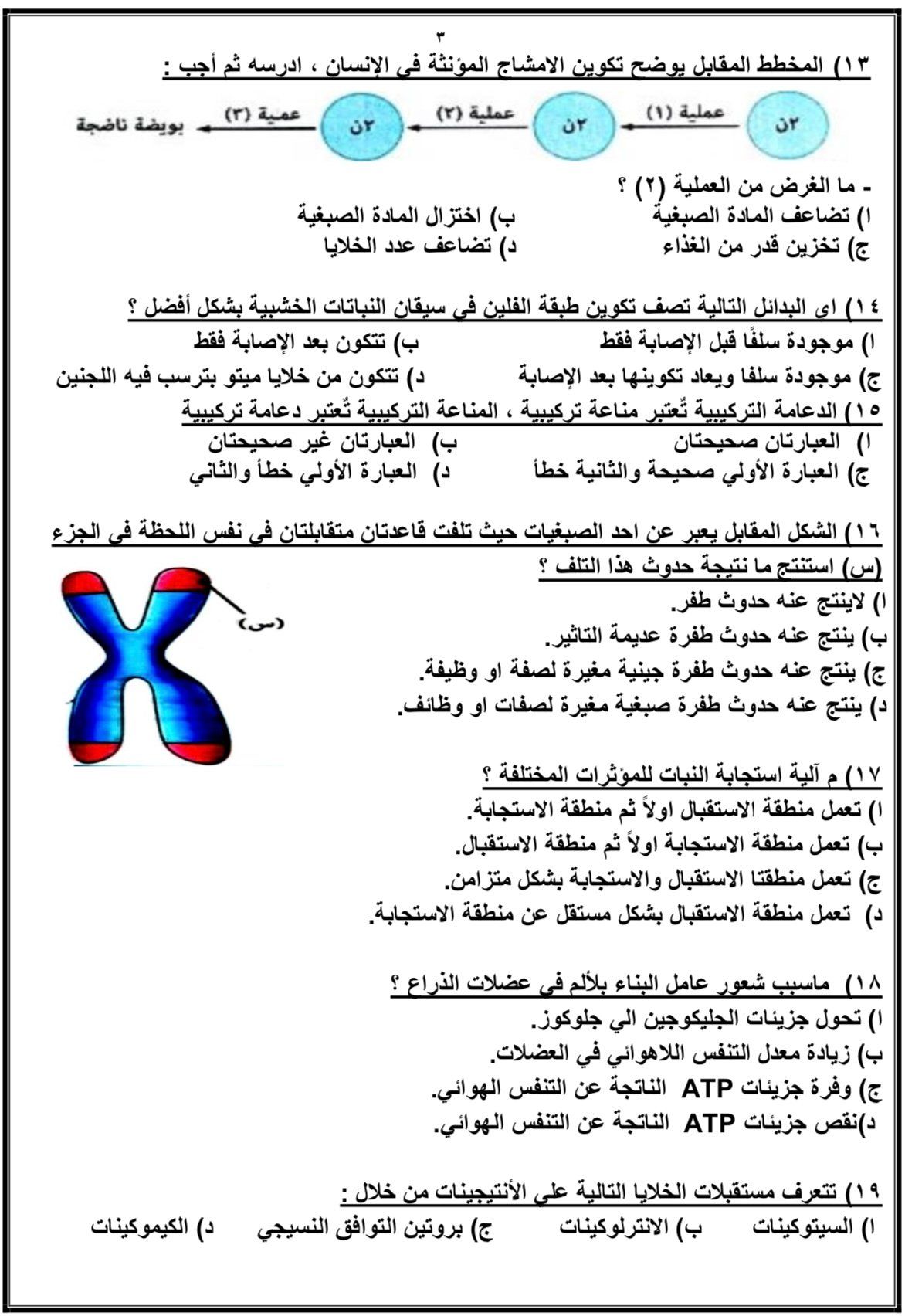 المراجعات المراجعات