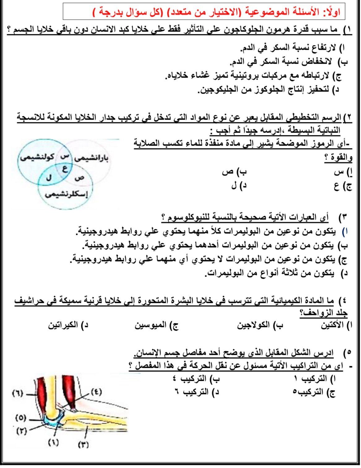 مراجعات الثانوية العامة مراجعات الثانوية العامة
