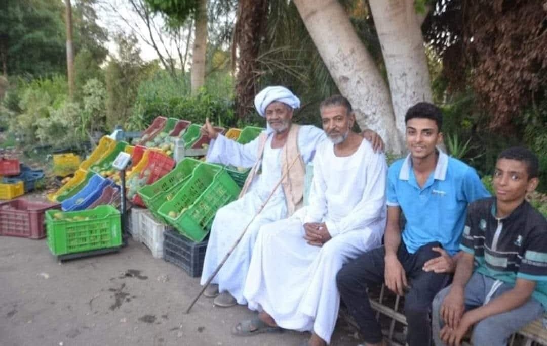 المزارعين خلال بدء عرض كميات المانجا أمام المواطنين المزارعين خلال بدء عرض كميات المانجا أمام المواطنين