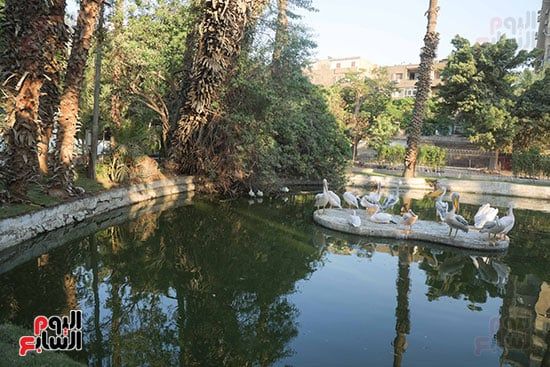 بحيرة بالحديقة (2)