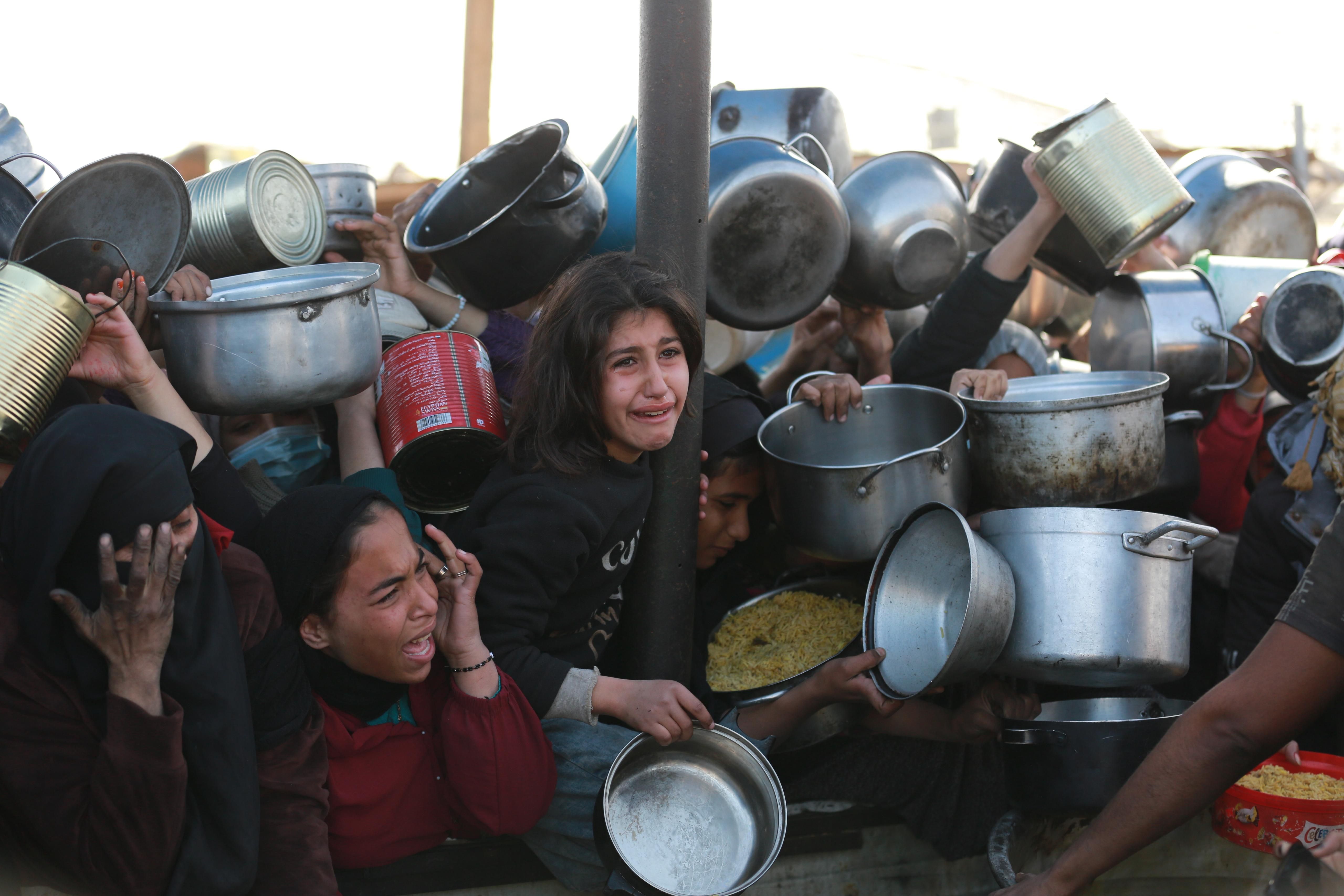 بطونهم خاوية .. فلسطينيون في غزة يصطفون للحصول على الطعام بطونهم خاوية .. فلسطينيون في غزة يصطفون للحصول على الطعام