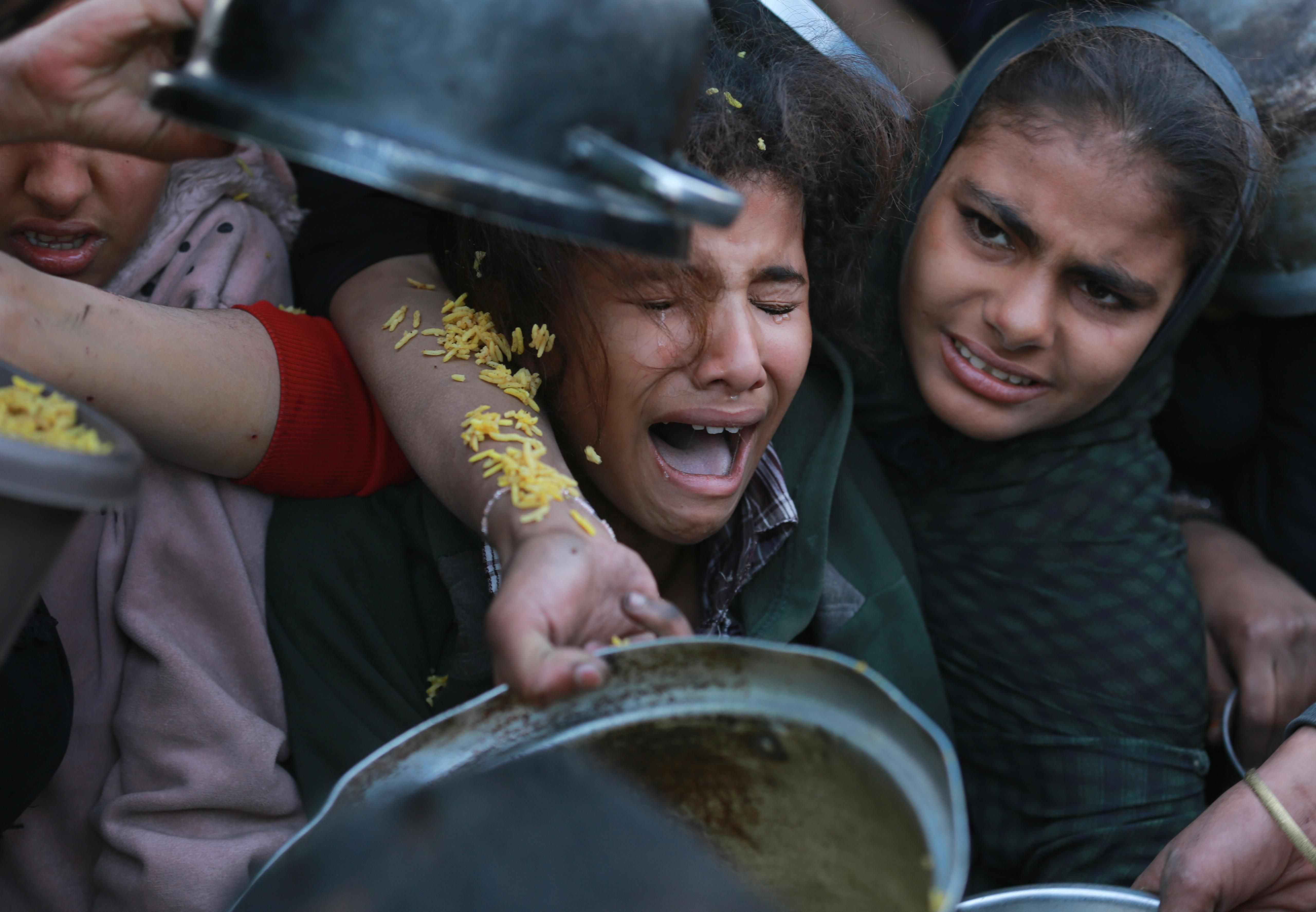معاناة الأطفال في غزة خلال الحصول على الطعام