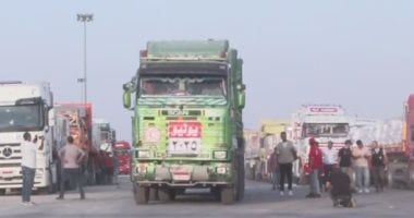 31a10ec313.jpg