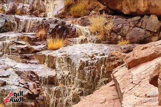 سيول سيول