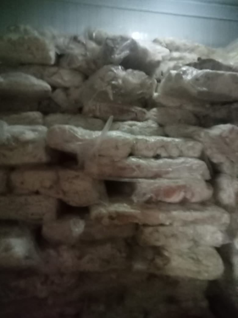 المضبوطات