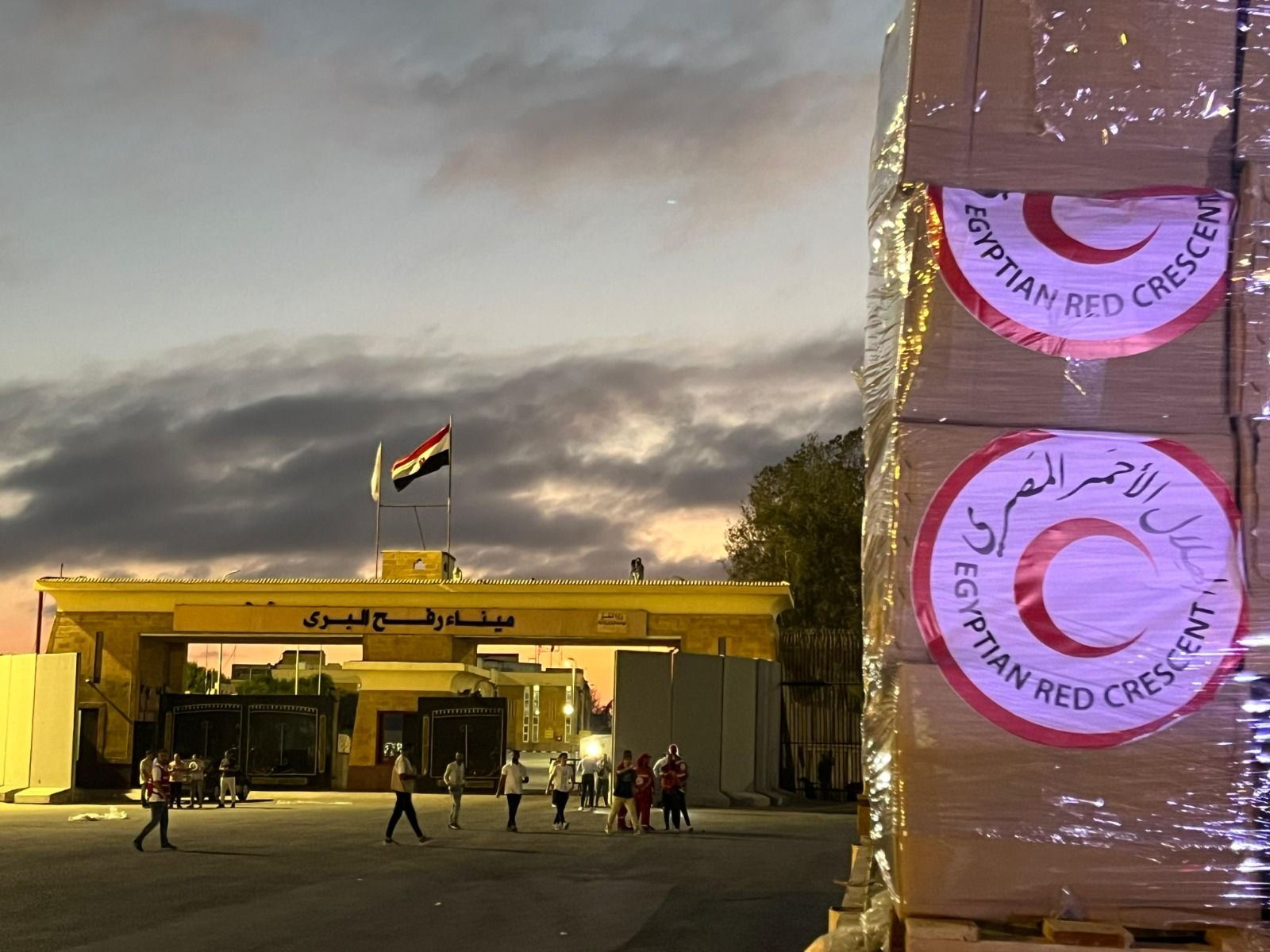 مساعدات إنسانية إلى غزة مساعدات إنسانية إلى غزة