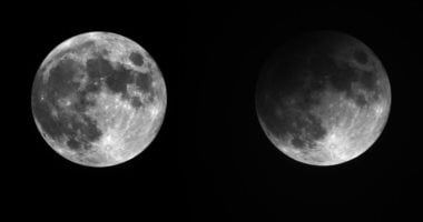 bd9b468724.jpg