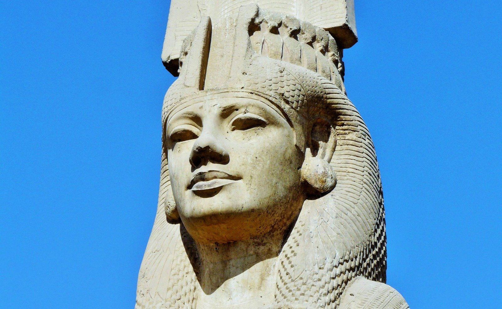 وجه ميرت أمون