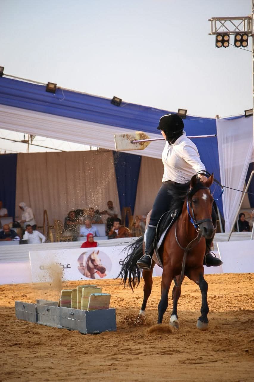 احد الجياد خلال مسابقات دورة ٢٨