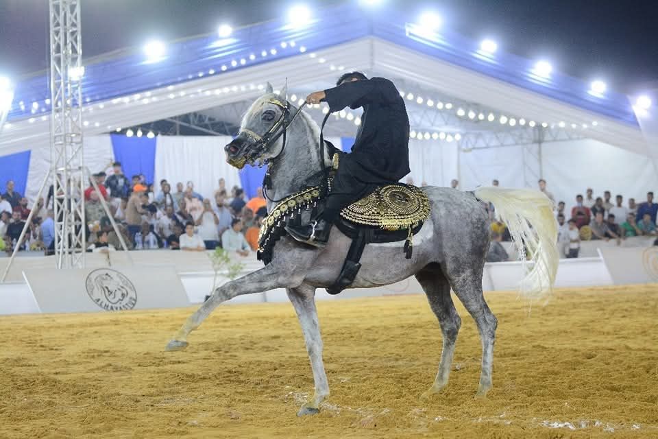 مسابقة ادب الخيل العام 2024