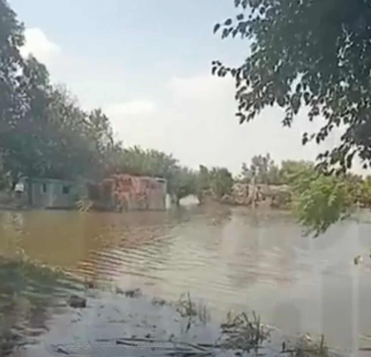الغرق المباني