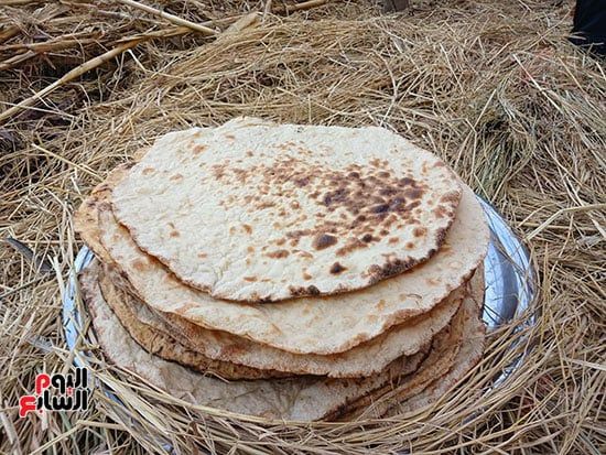 عيش-فلاحى عيش-فلاحى