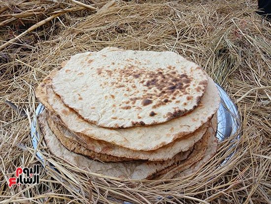 العيش-الملدن العيش-الملدن