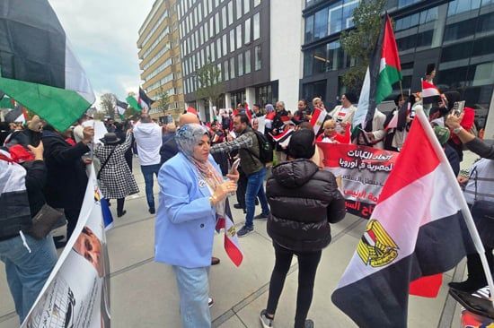 وقفة تأييد للرئيس السيسي أمام المفوضية الأوروبية (1) وقفة تأييد للرئيس السيسي أمام المفوضية الأوروبية (1)