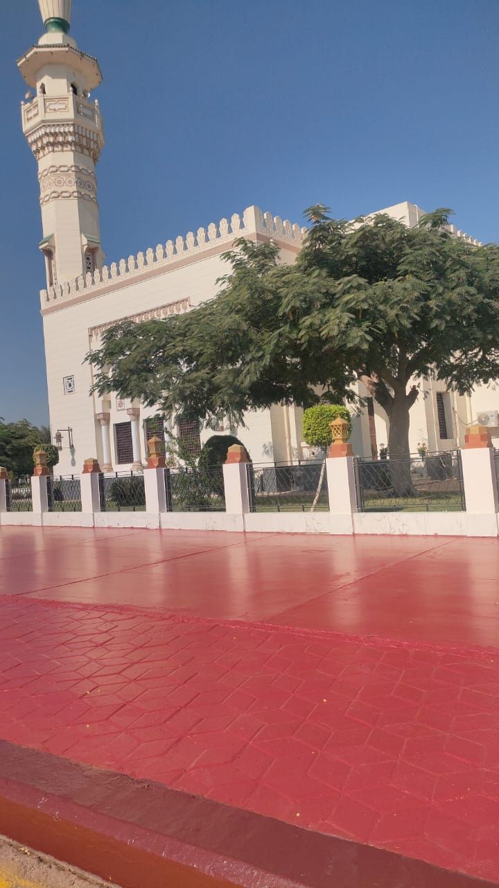 تجميل طريق مطار القاهرة (12) (1) تجميل طريق مطار القاهرة (12) (1)