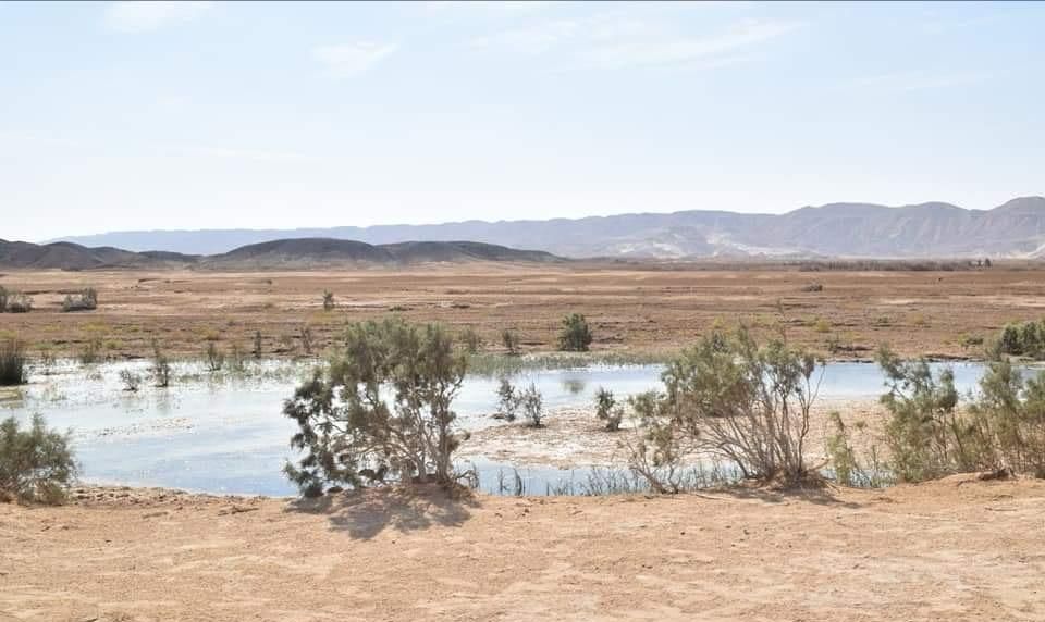 منطقة وادى مليحة بالقرب من القطار منطقة وادى مليحة بالقرب من القطار