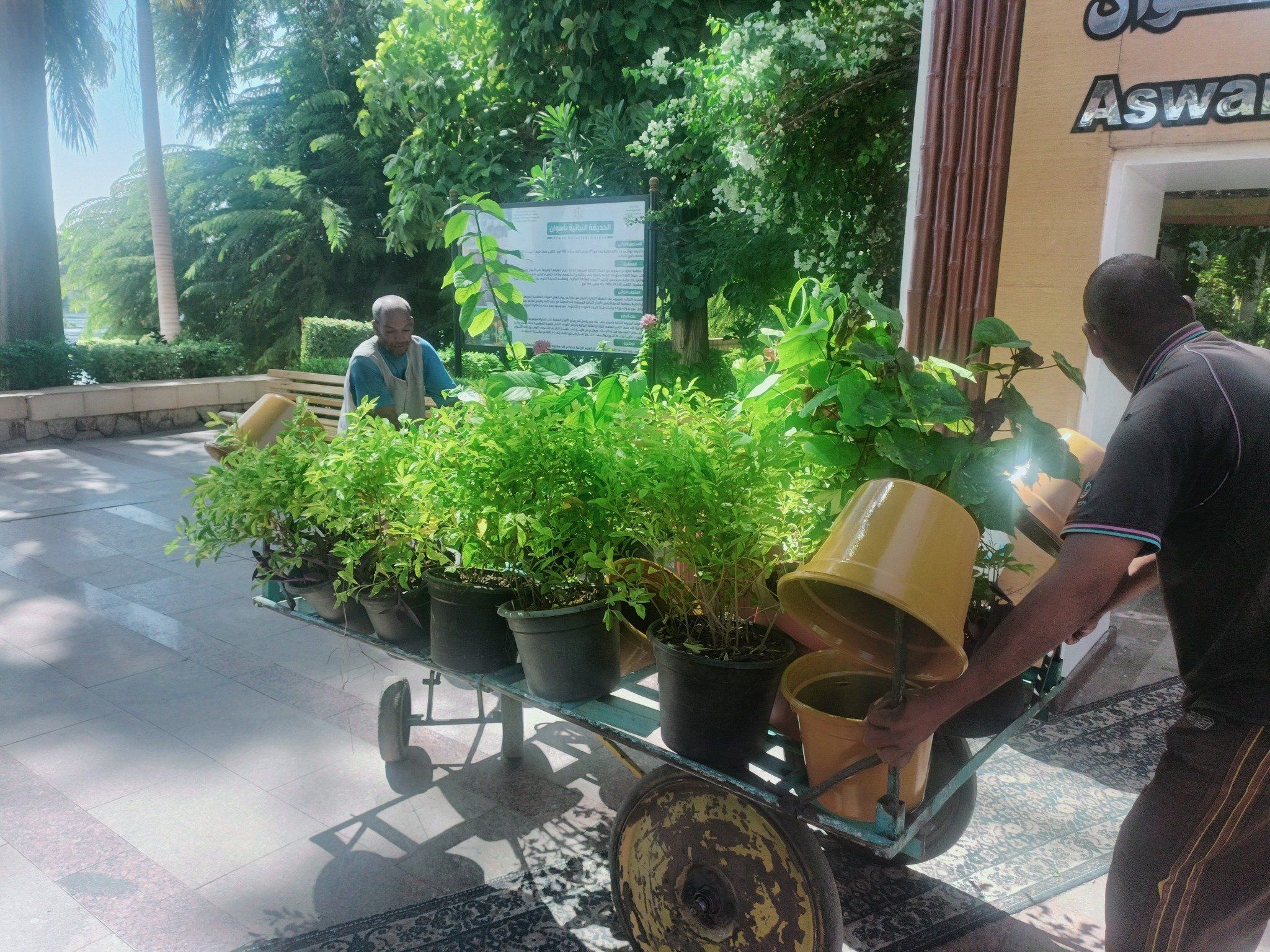 إضافة أنواع جديدة إضافة أنواع جديدة