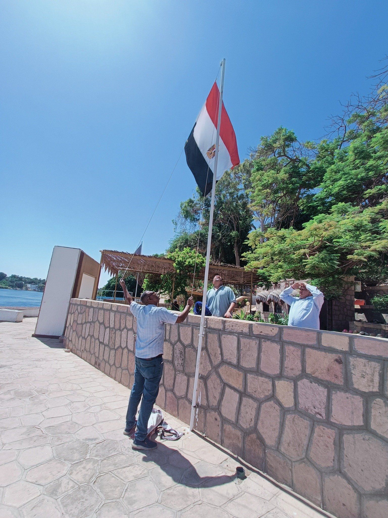 علم مصر علم مصر