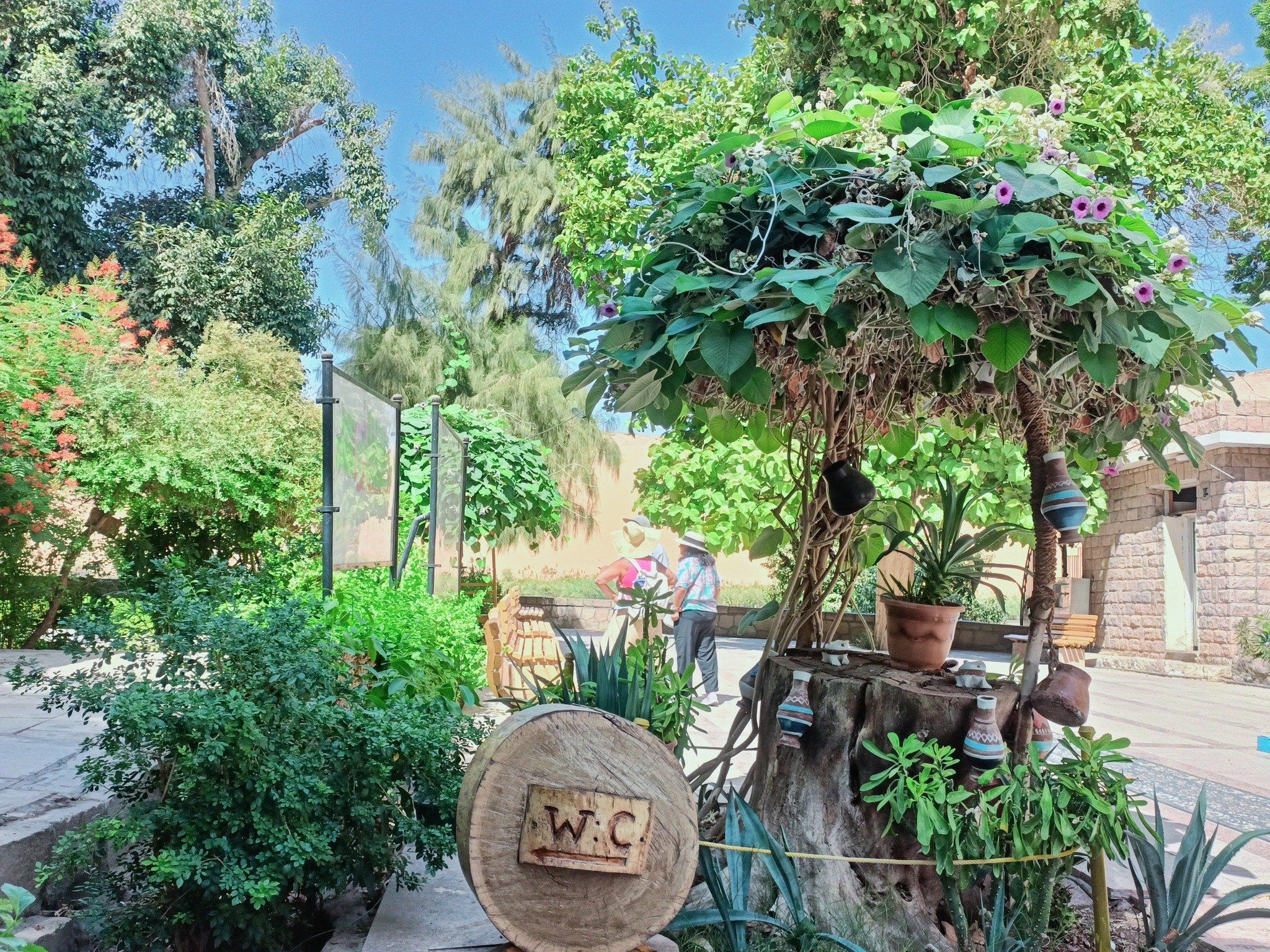 مسارات الدخول والحمامات مسارات الدخول والحمامات