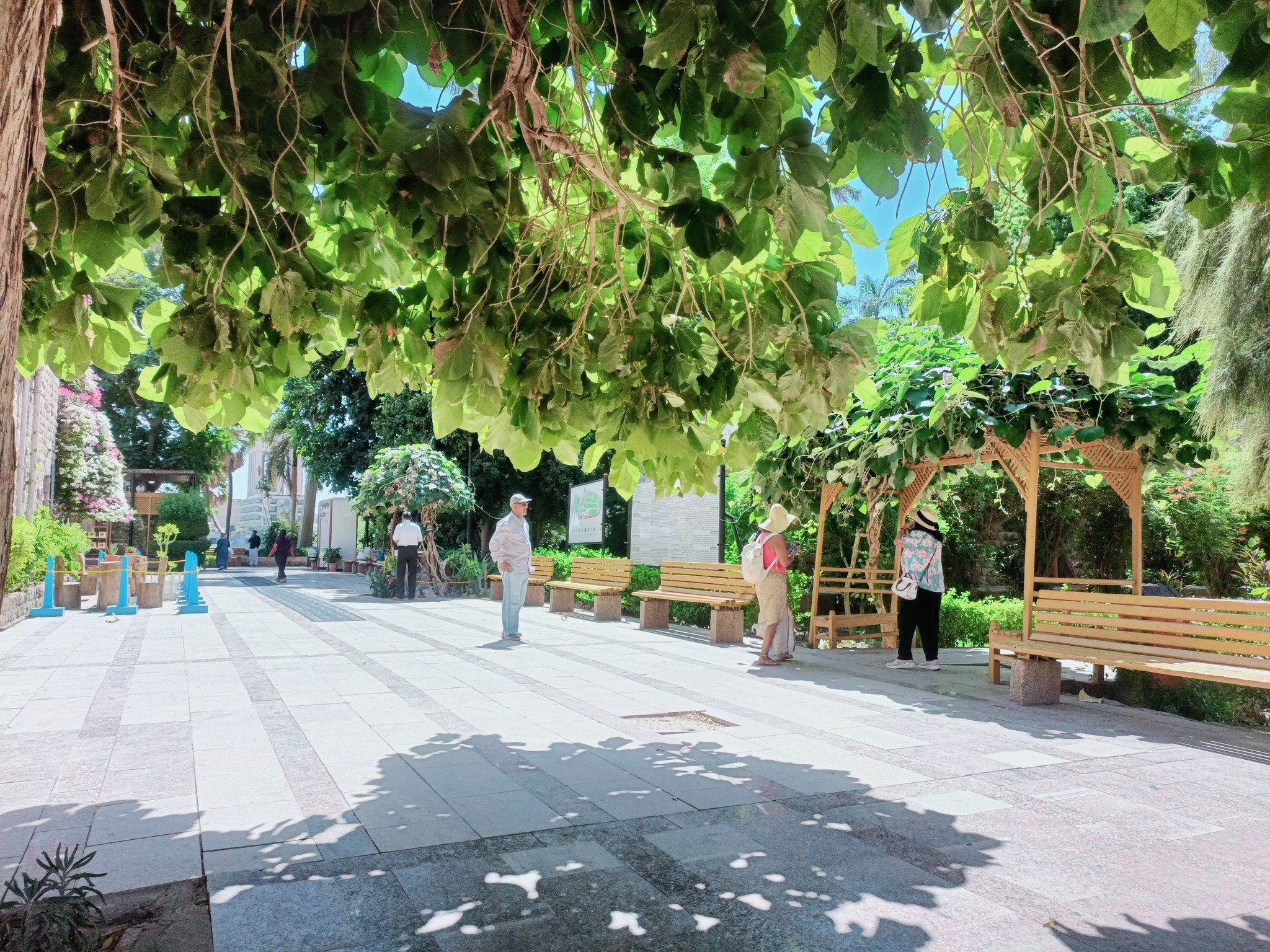 الحديقة من الداخل الحديقة من الداخل