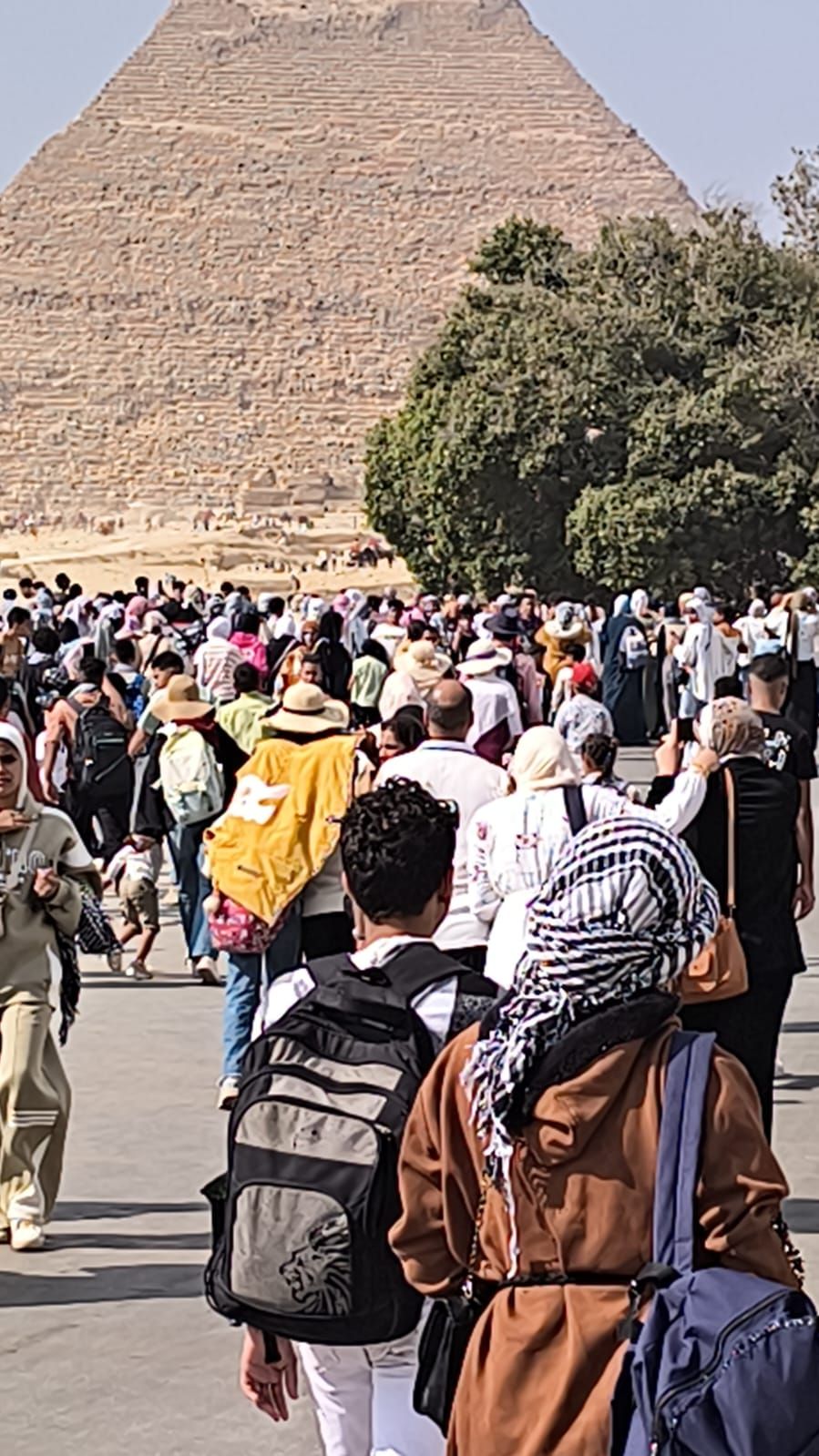 توافد الآلاف على زيارة الأهرامات توافد الآلاف على زيارة الأهرامات