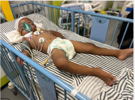 كنان أبو محسن