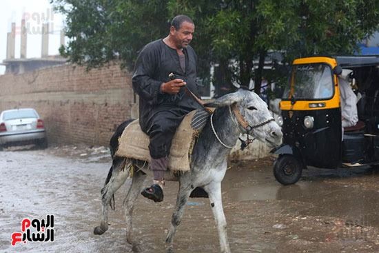 أمطار تضرب جنوب الجيزة