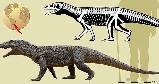 اقدم من الديناصورات