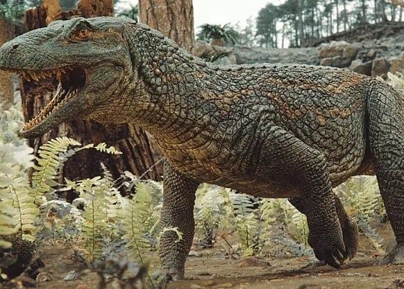 اكتشاف جد التماسيح