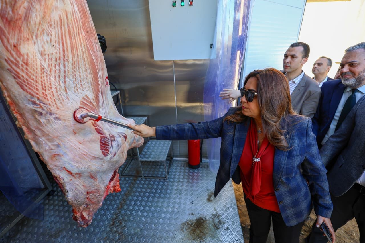 وزيرة التنمية المحلية تتفقد المجزر وزيرة التنمية المحلية تتفقد المجزر