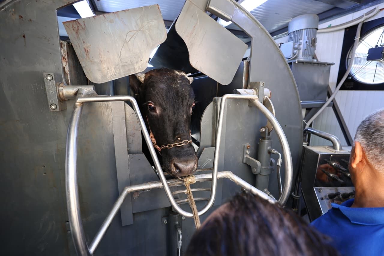 آلية عمل المجزر آلية عمل المجزر