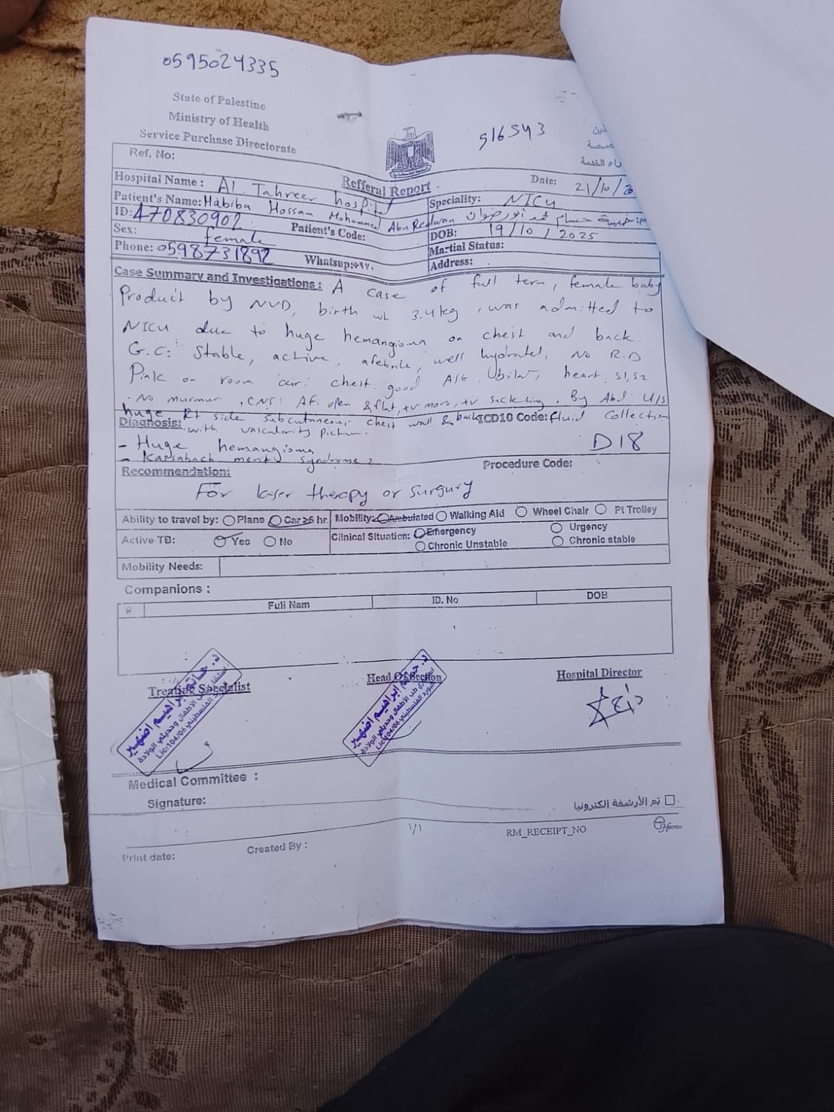 تقرير طبي لحبيبة أبو رضوان تقرير طبي لحبيبة أبو رضوان