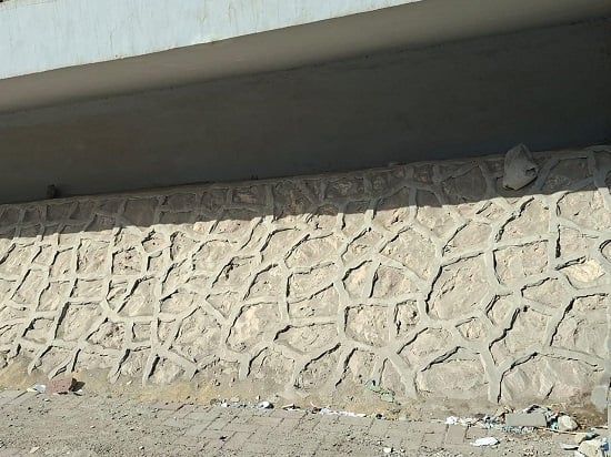 كوبري 45 الدولي بالإسكندرية (13)