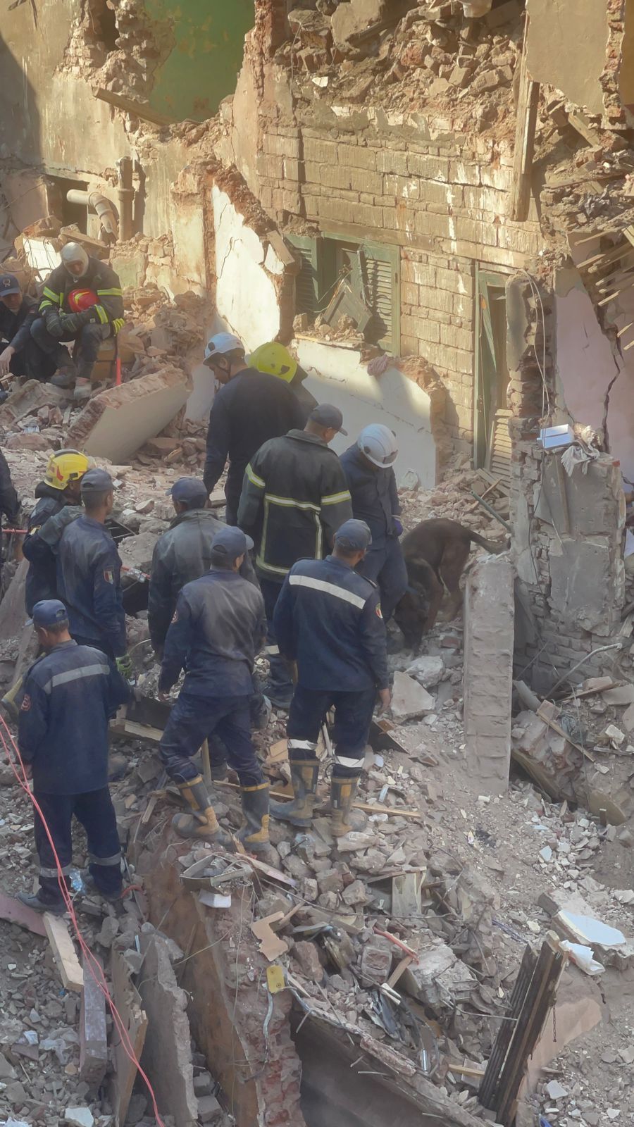 e1e409b9-9b5d-41f8-87b3-07f26e547b38 e1e409b9-9b5d-41f8-87b3-07f26e547b38